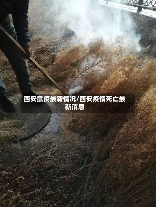 西安鼠疫最新情况/西安疫情死亡最新消息