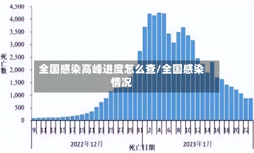 全国感染高峰进度怎么查/全国感染情况
