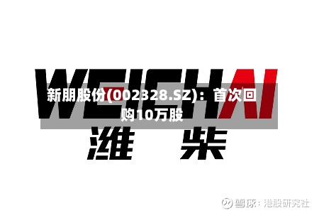 新朋股份(002328.SZ)：首次回购10万股