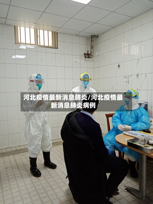 河北疫情最新消息肺炎/河北疫情最新消息肺炎病例-第2张图片