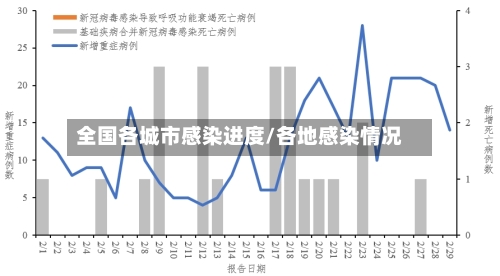 全国各城市感染进度/各地感染情况