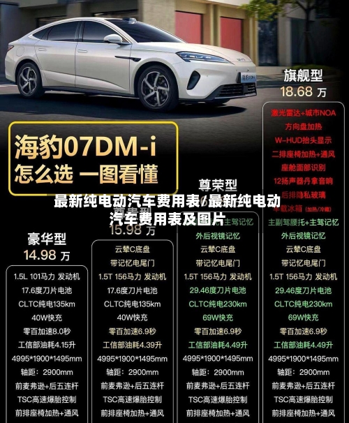 最新纯电动汽车费用表/最新纯电动汽车费用表及图片