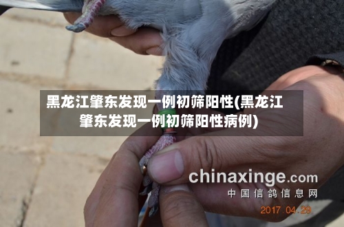 黑龙江肇东发现一例初筛阳性(黑龙江肇东发现一例初筛阳性病例)-第2张图片