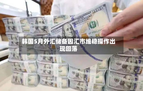 韩国5月外汇储备因汇市维稳操作出现回落-第3张图片