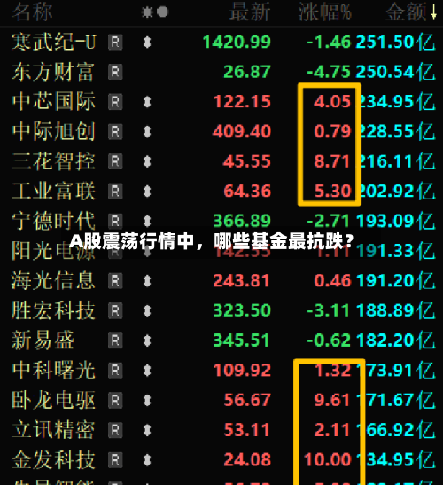 A股震荡行情中，哪些基金最抗跌？
