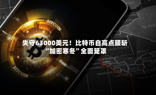 失守63000美元！比特币自高点腰斩 “加密寒冬”全面笼罩-第3张图片