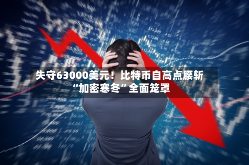 失守63000美元！比特币自高点腰斩 “加密寒冬”全面笼罩-第2张图片
