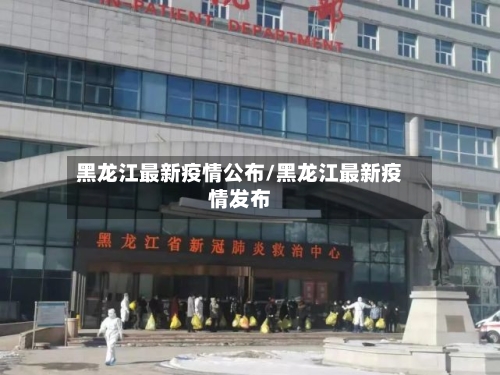 黑龙江最新疫情公布/黑龙江最新疫情发布