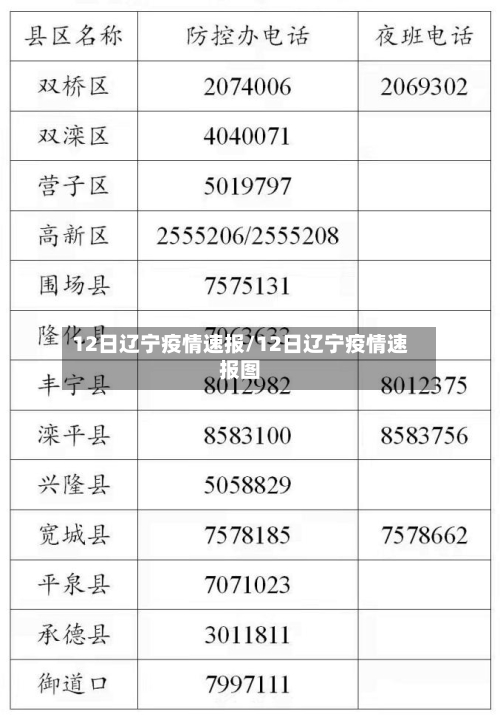 12日辽宁疫情速报/12日辽宁疫情速报图-第2张图片