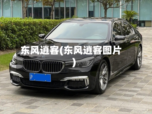 东风逍客(东风逍客图片)-第3张图片