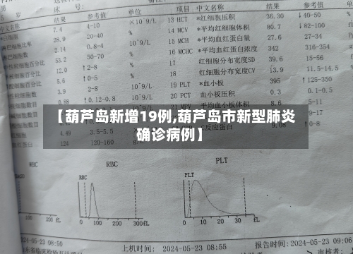 【葫芦岛新增19例,葫芦岛市新型肺炎确诊病例】