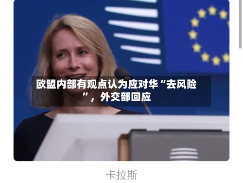 欧盟内部有观点认为应对华“去风险	”，外交部回应-第2张图片