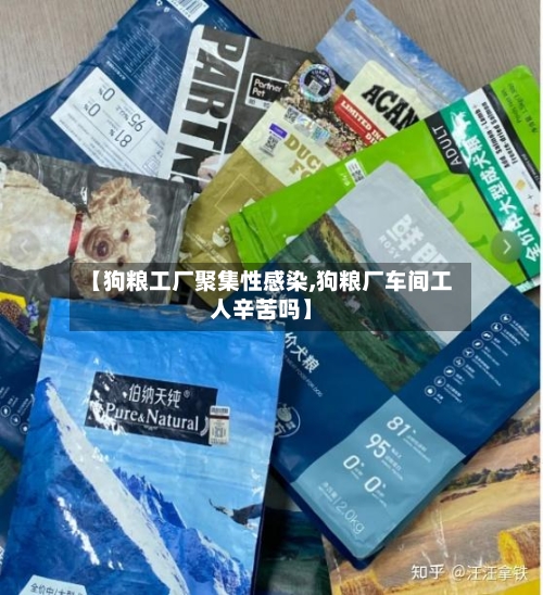 【狗粮工厂聚集性感染,狗粮厂车间工人辛苦吗】