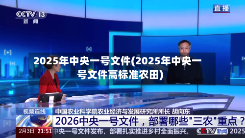 2025年中央一号文件(2025年中央一号文件高标准农田)