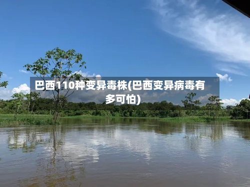 巴西110种变异毒株(巴西变异病毒有多可怕)