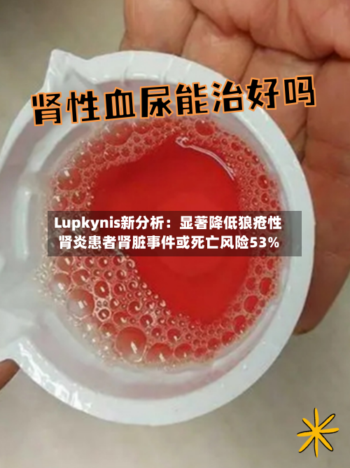 Lupkynis新分析：显著降低狼疮性肾炎患者肾脏事件或死亡风险53%