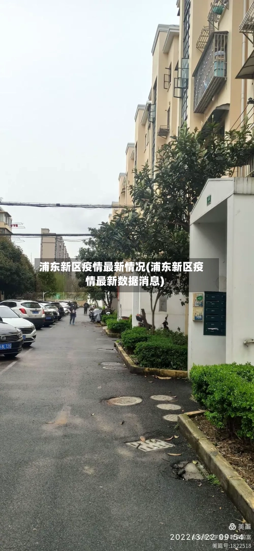 浦东新区疫情最新情况(浦东新区疫情最新数据消息)-第2张图片