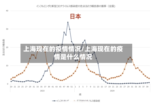 上海现在的疫情情况/上海现在的疫情是什么情况-第2张图片