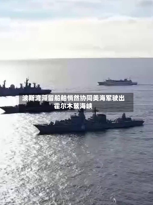 波斯湾滞留船舶悄然协同美海军驶出霍尔木兹海峡-第2张图片