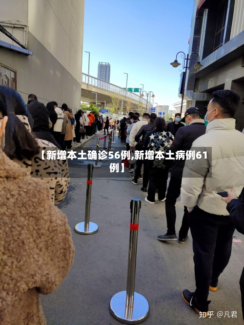 【新增本土确诊56例,新增本土病例61例】-第3张图片