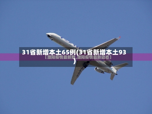 31省新增本土65例(31省新增本土93)-第2张图片