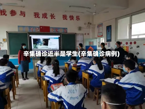 辛集确诊近半是学生(辛集确诊病例)-第2张图片