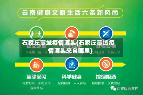 石家庄藁城疫情源头(石家庄藁城疫情源头来自哪里)-第2张图片