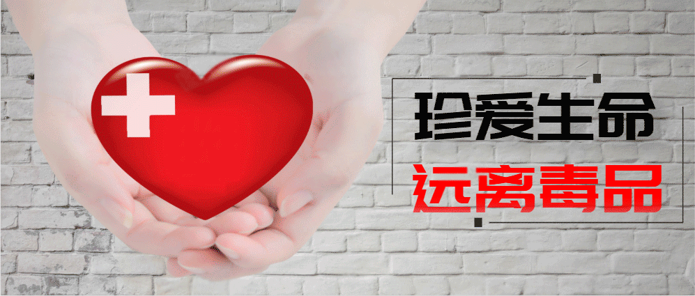 【河南省最新疫情通报,河南省最新疫情动态报告】