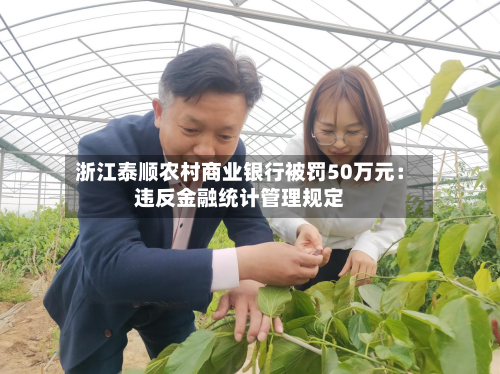浙江泰顺农村商业银行被罚50万元：违反金融统计管理规定