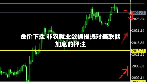 金价下挫 非农就业数据提振对美联储加息的押注-第2张图片