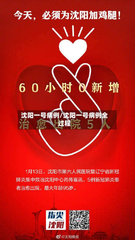 沈阳一号病例/沈阳一号病例全过程