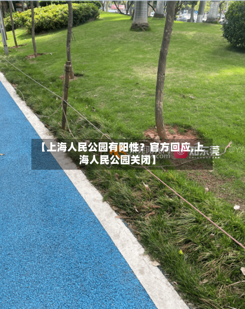 【上海人民公园有阳性？官方回应,上海人民公园关闭】-第2张图片