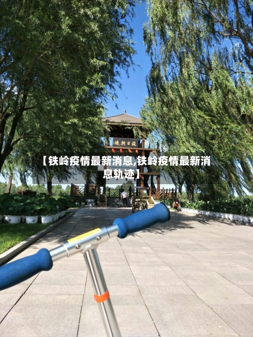 【铁岭疫情最新消息,铁岭疫情最新消息轨迹】-第3张图片