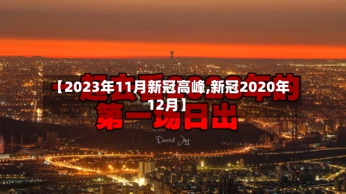 【2023年11月新冠高峰,新冠2020年12月】-第2张图片