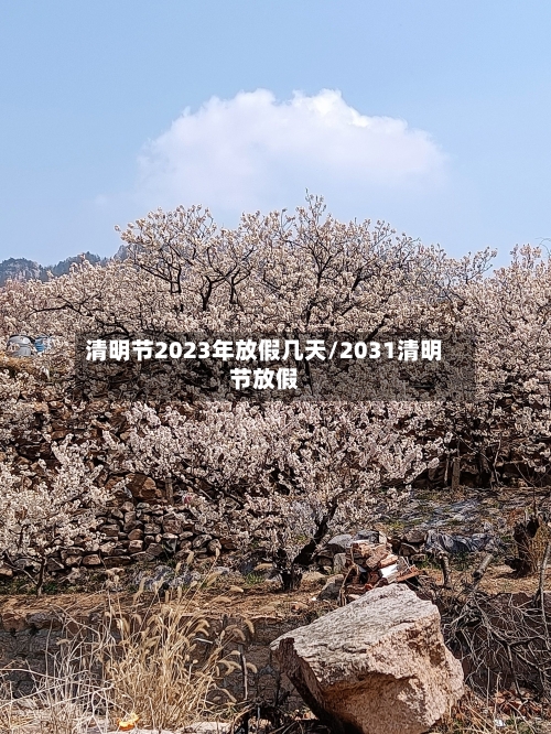 清明节2023年放假几天/2031清明节放假-第3张图片