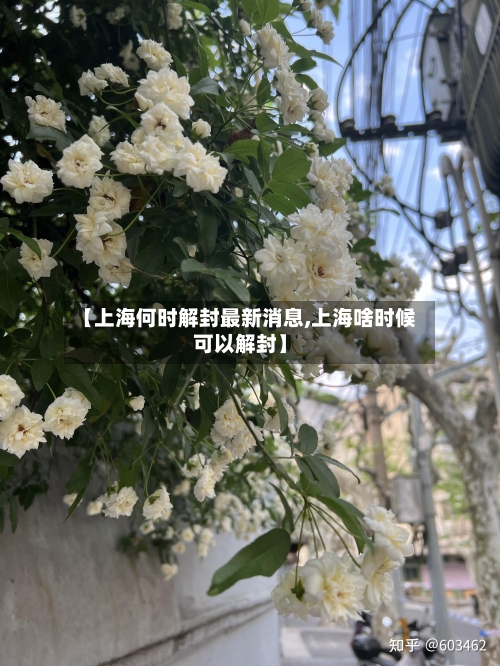 【上海何时解封最新消息,上海啥时候可以解封】