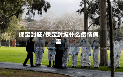 保定封城/保定封城什么疫情病毒-第3张图片