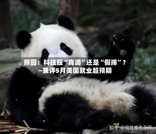 熊园：科技股“真调”还是“假摔”？—兼评5月美国就业超预期