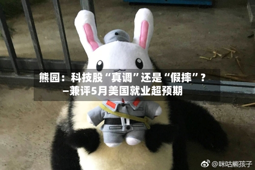 熊园：科技股“真调”还是“假摔”？—兼评5月美国就业超预期-第2张图片