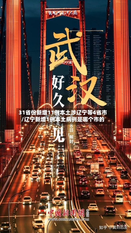 31省份新增11例本土涉辽宁等4省市/辽宁新增1例本土病例是哪个市的-第3张图片