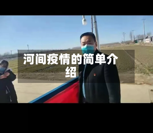 河间疫情的简单介绍