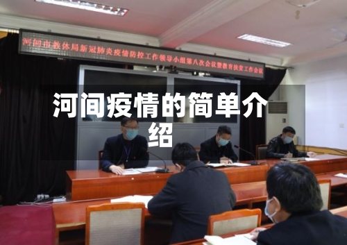河间疫情的简单介绍-第2张图片
