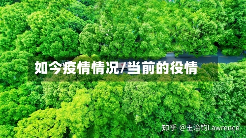 如今疫情情况/当前的役情-第2张图片