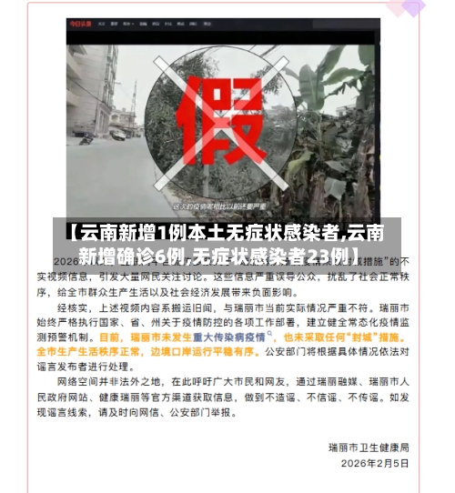 【云南新增1例本土无症状感染者,云南新增确诊6例,无症状感染者23例】-第2张图片