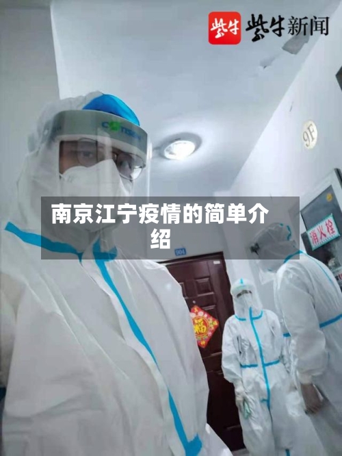 南京江宁疫情的简单介绍