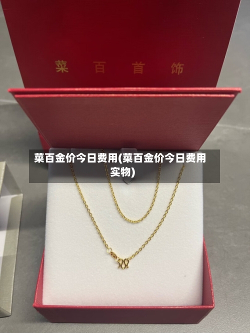 菜百金价今日费用(菜百金价今日费用实物)-第2张图片