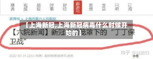 【上海新冠,上海新冠病毒什么时候开始的】-第2张图片