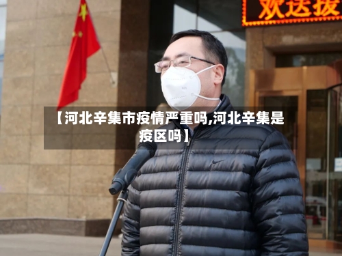 【河北辛集市疫情严重吗,河北辛集是疫区吗】-第2张图片
