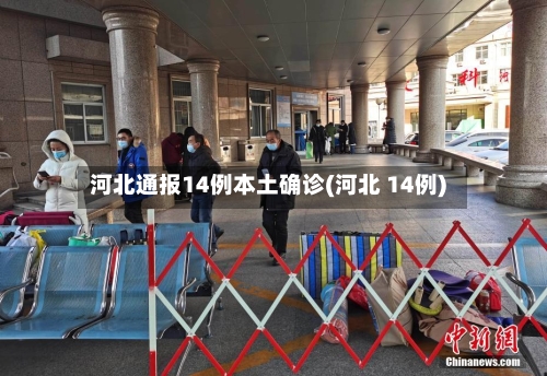 河北通报14例本土确诊(河北 14例)
