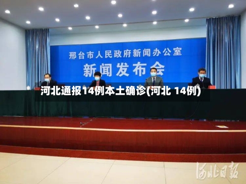 河北通报14例本土确诊(河北 14例)-第3张图片